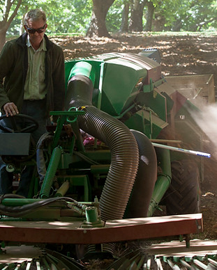 Hall-Stanley-Chestnut-Harvest-6-HR.jpg