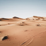 Paysage désert