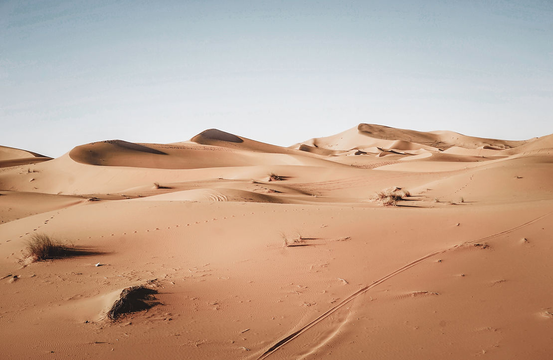 Desert Landscape
