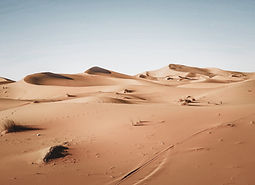 Desert Landscape