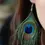 Thumbnail: Peacock Feather Earrings