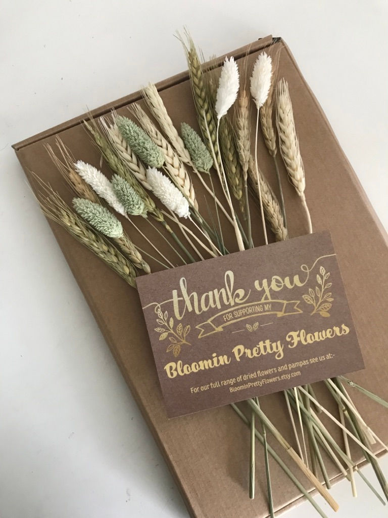 Thumbnail: Bloomin Wild