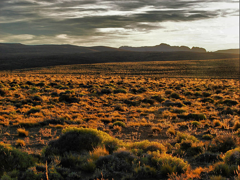 pampa-argentina.jpg