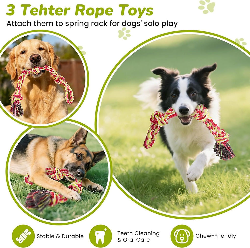 Thumbnail: 360° Rotation Tether Dog Toy, Dog Training 3 Rope Toys, 2 Strengthen Spring Pole