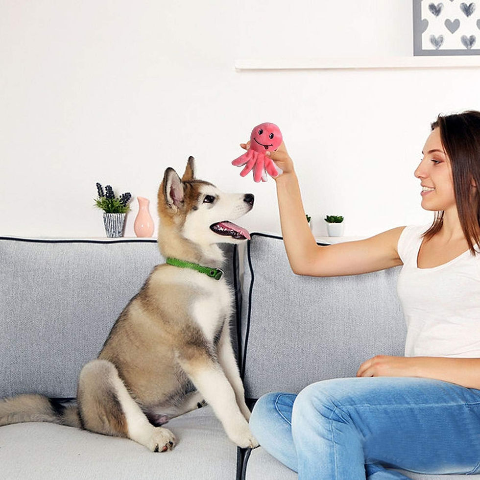 Thumbnail: Squeaky Plush Dog Toy Pack for Puppy,  12 Dog Toys Bulk with Squeakers