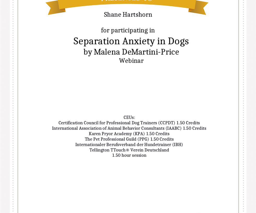 K9 Education Dog Training Leicester About Me