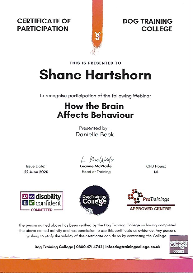 K9 Education Dog Training Leicester About Me