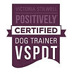 VSPDT Logo