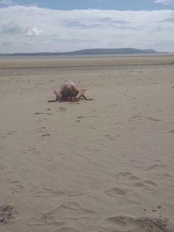 Crab in the sand