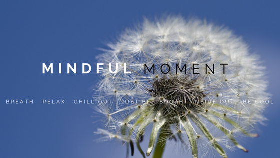 Mindful Moment