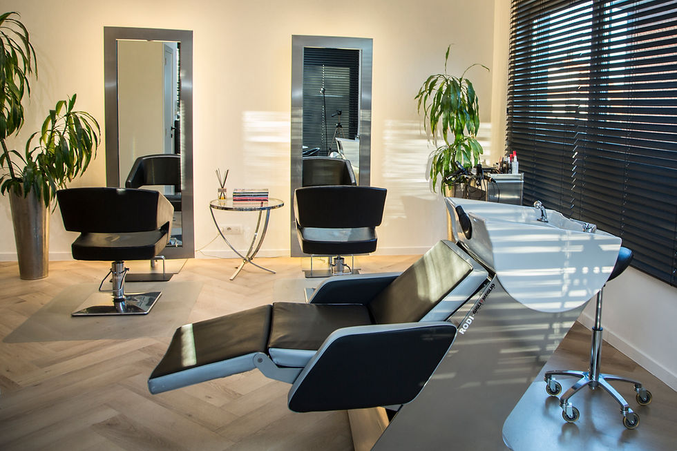 Michel Sas salon Wilrijk