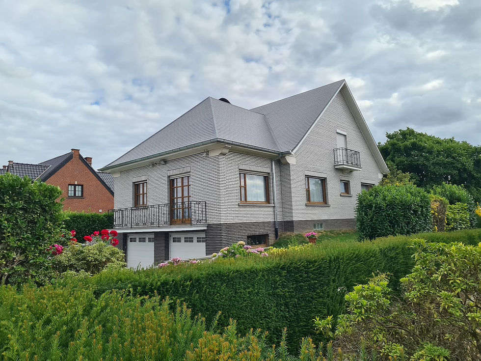 Dakwerken Tassignon in Halle, realisaties