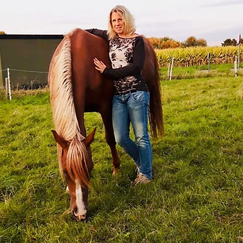 Paardenvriend.png