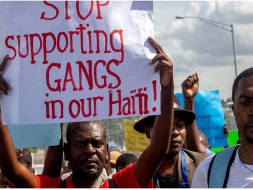 Ask your Senator to co-sponsor the Haiti Criminal Collusion Transparency Act (S. 396)