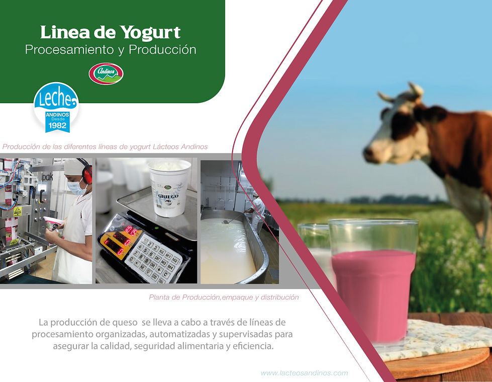 producción yogurt