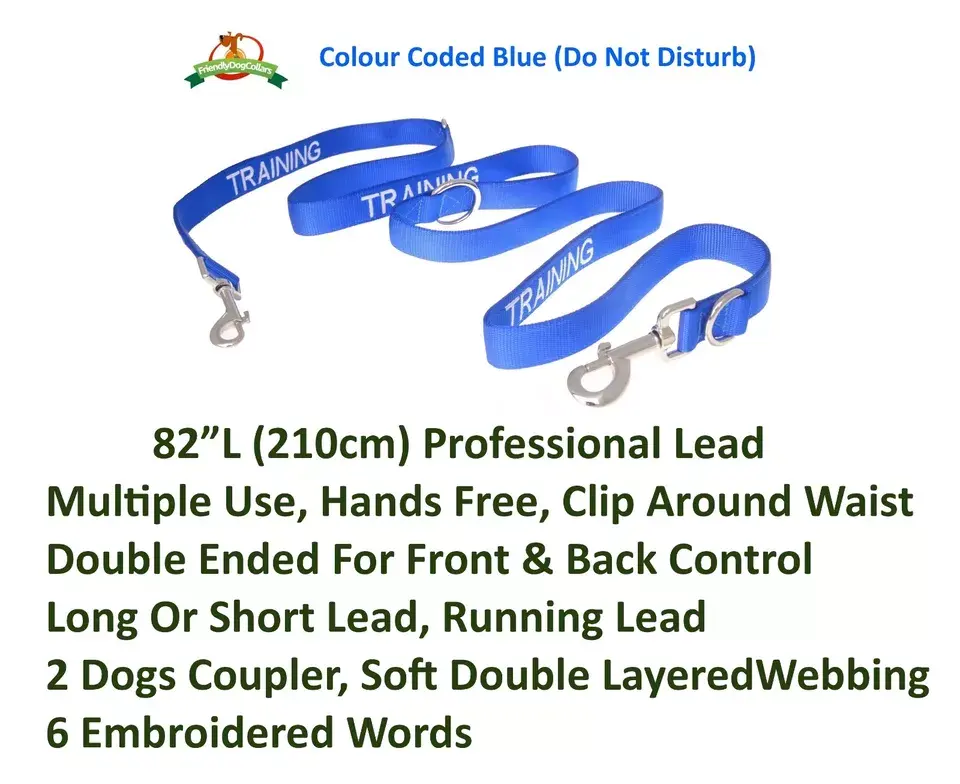 Double clip training lead