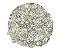 Untitled-2.png
