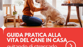 La casa è di tutti in educazione cinofila!