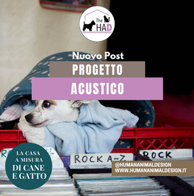 Il progetto acustico