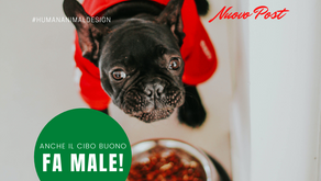 Anche il cibo buono, fa male!