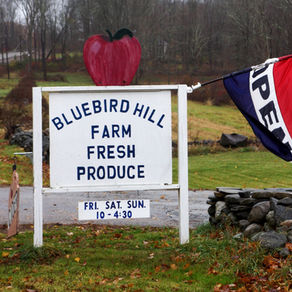 Bluebird Hill Farm