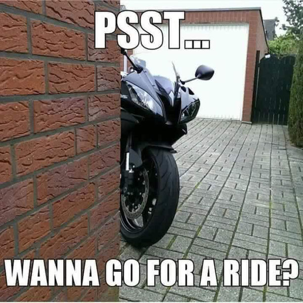 Psst... Lust auf eine Runde?