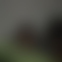 【めっきら】縁日も大盛況!