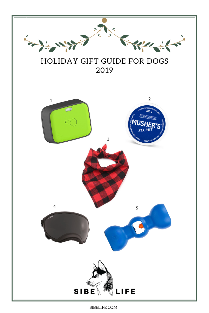 Holiday gift guide for dogs