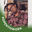 Writer: Langelihle Buthelezi