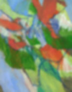 Geraniums