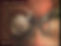2025-04-09-11-41-33_Image_5.jpg