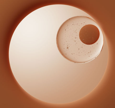 Illustration of human egg