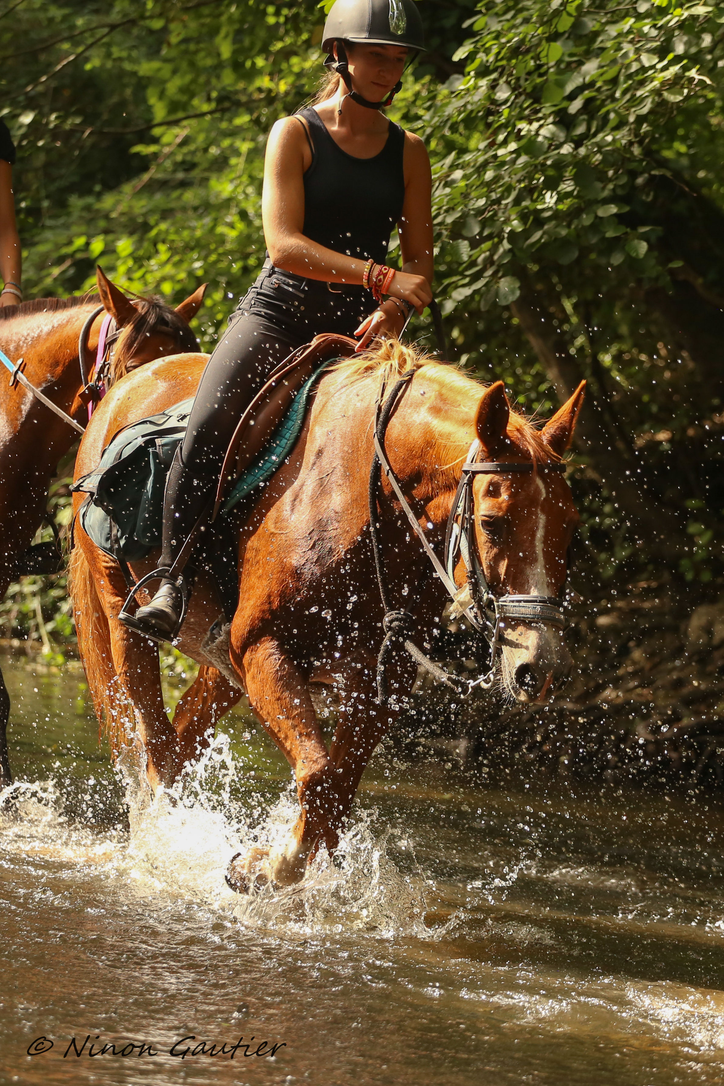 Passage du Gué de la Roche