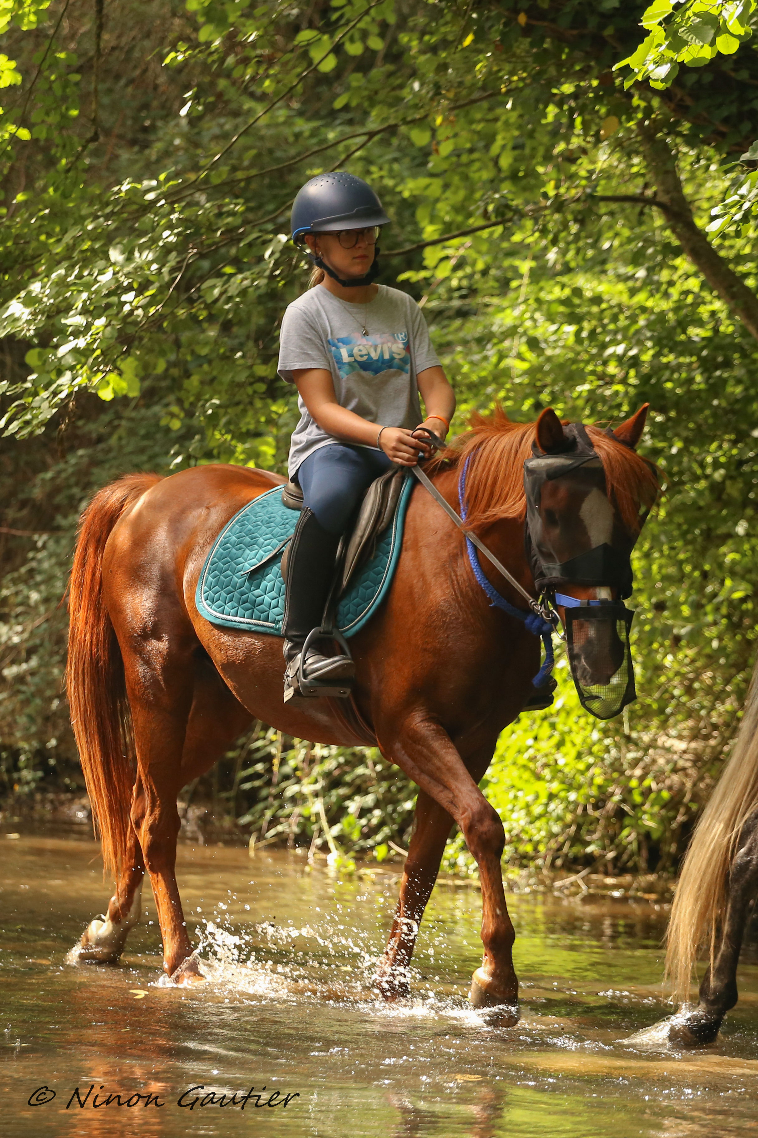 Passage du Gué de la Roche