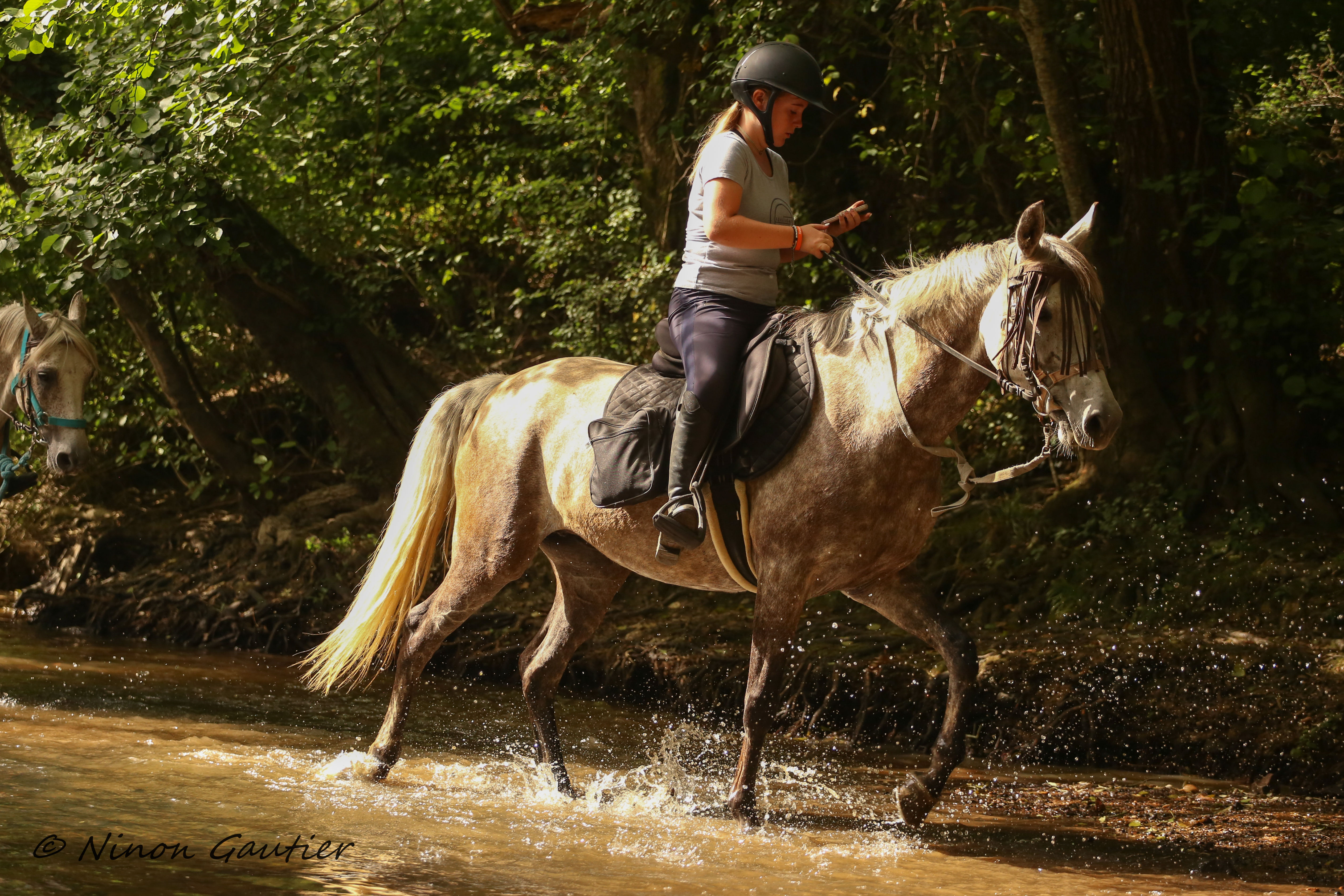 Passage du Gué de la Roche