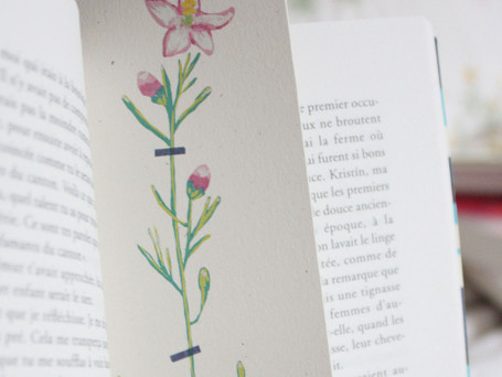 Marques-pages2.jpg
