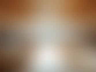 学生と研究者向け、京都の研究室紹介