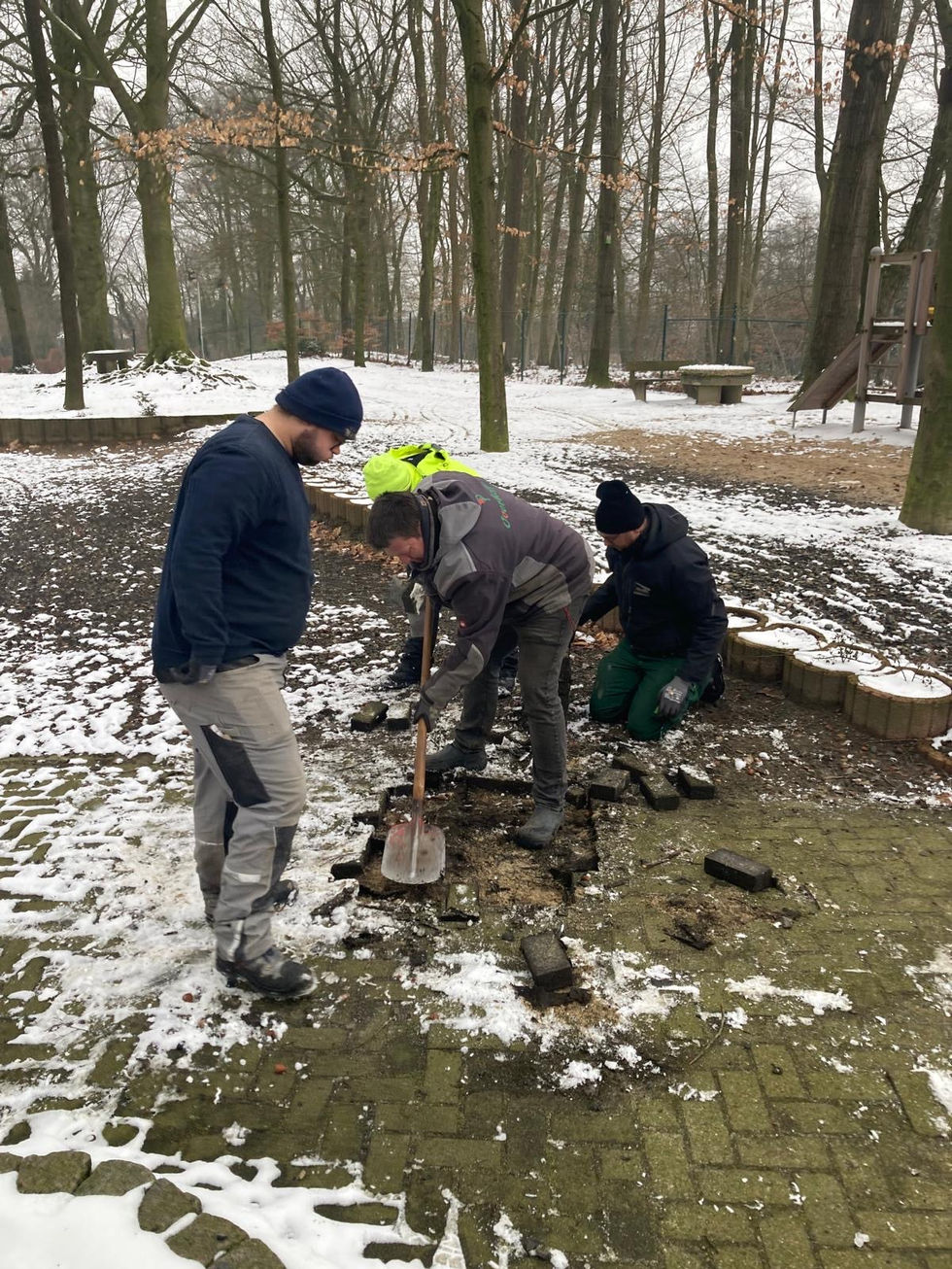 pflasterarbeiten-schützenplatz-2025-25