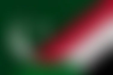 PTC Risks Losing Sudan Small-Pack Order