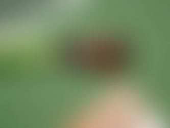 The Pixel Watch 3 comes in a bigger size and tells you when you should rest