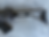 Thumbnail: FN FAL Belgian Paratrooper – Transferable Machine Gun – C&R Eligible – Mint
