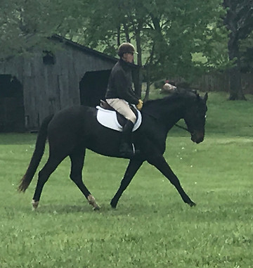 Tad Coffin on horseback 2020.jpg