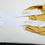 Thumbnail: QRT Droptail Cargo Bibs ( Mustard )