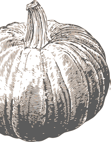 pumpkin-icon.png