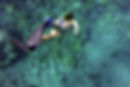 Screen Shot 2019-04-11 at 18.58.41.png