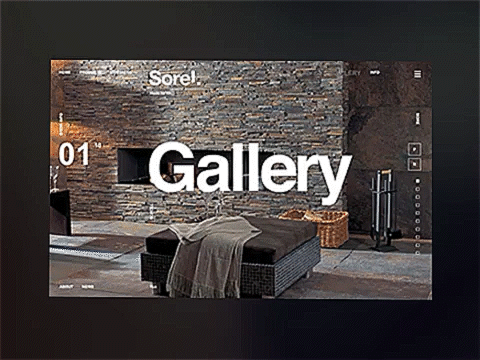 Gallery Gif RVS.gif