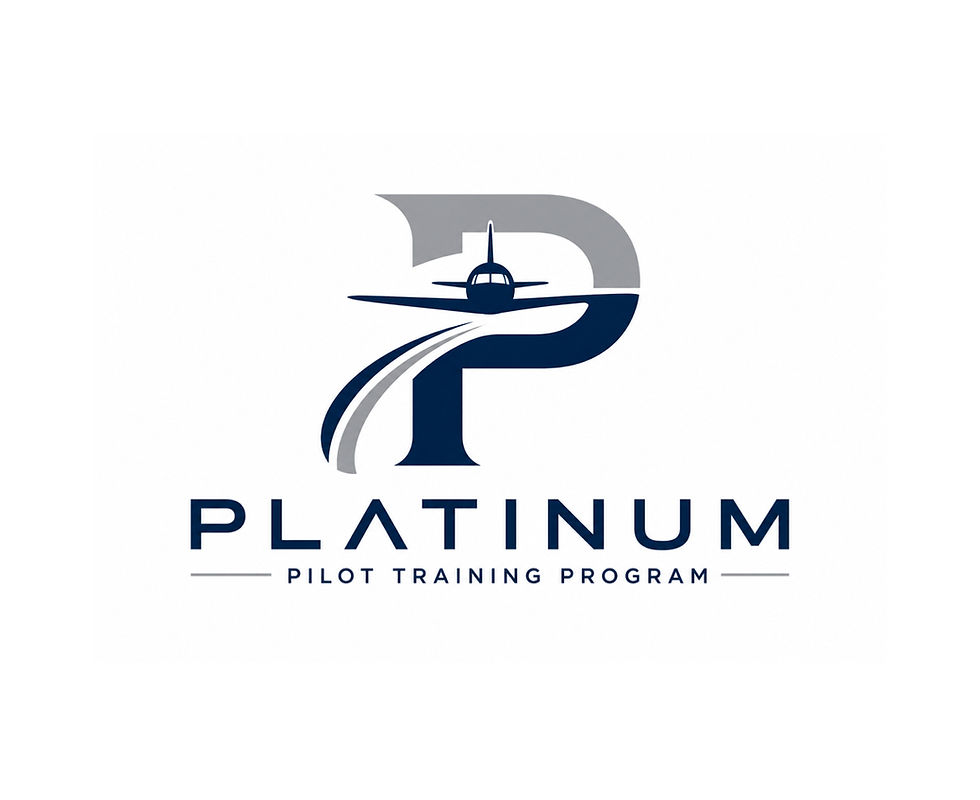 Platinum 2.0_edited.jpg