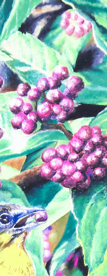 birds.berries.snip.jpg