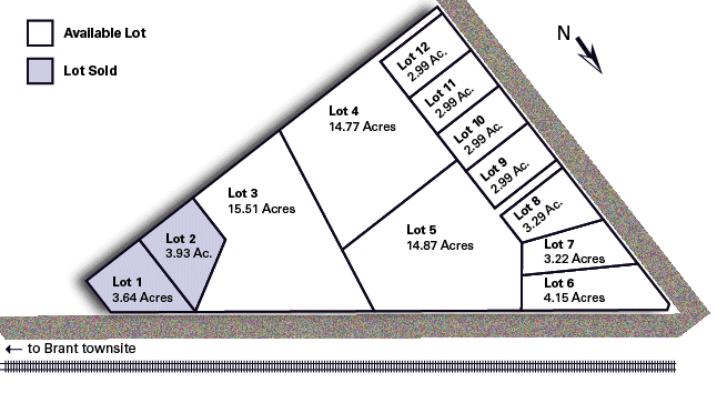 BrantMeadows-Plan-2019.gif