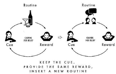 Rostra’s Choice: The Power of Habit